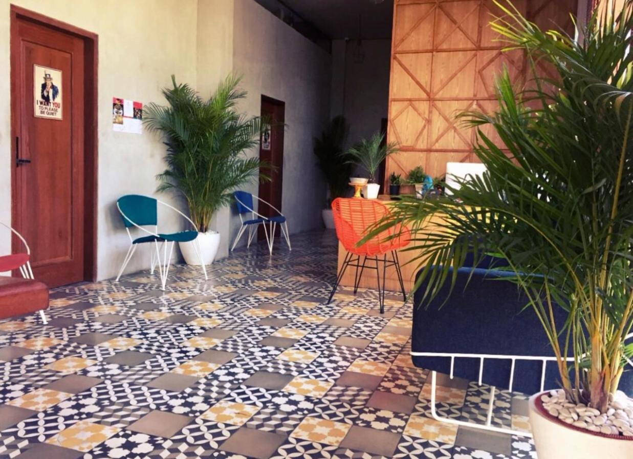 The Escape Hostel 坎古 外观 照片